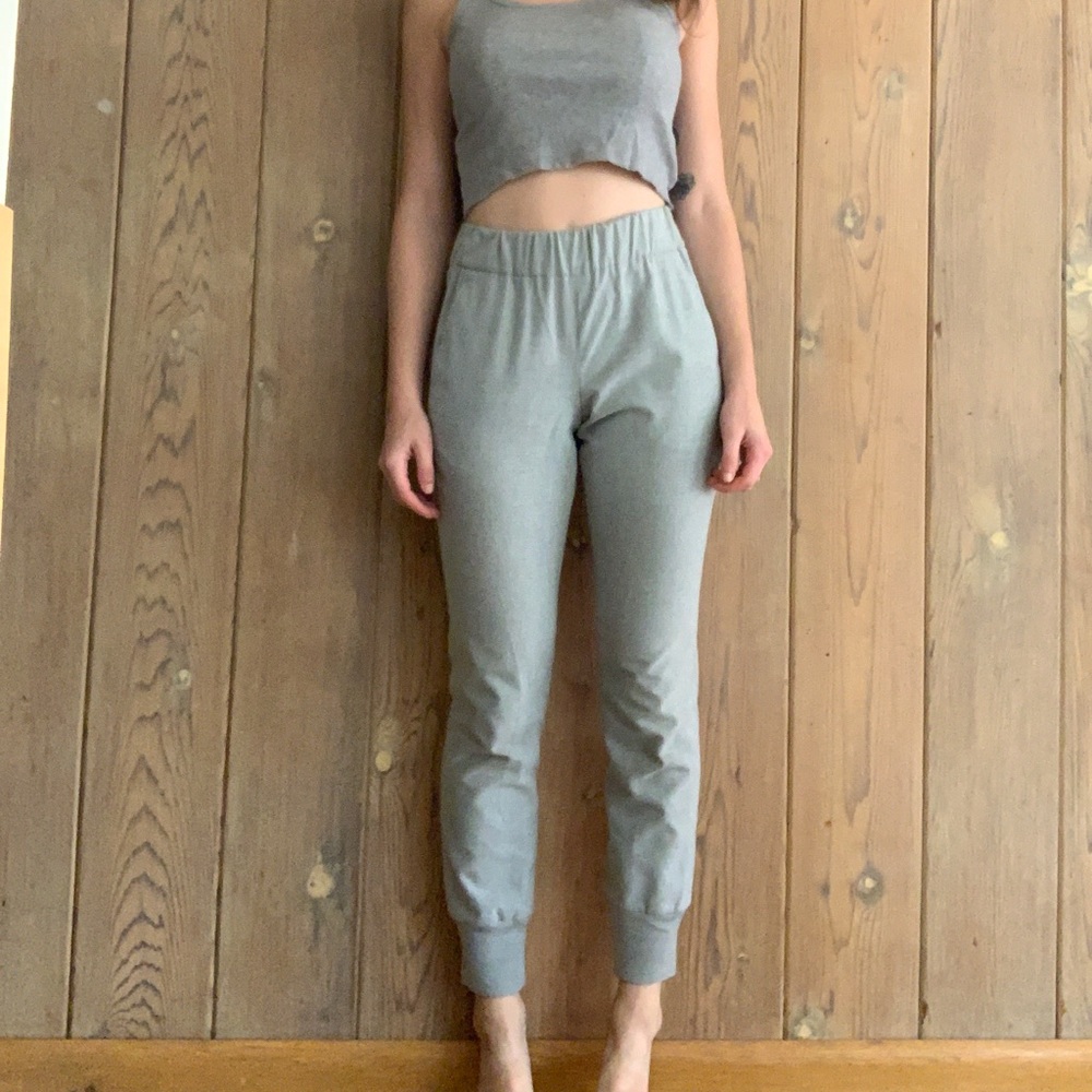 Aritzia Babaton Winter Jogger